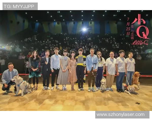 北京排球队力量争议引发热议球迷与专家各执己见探讨真相